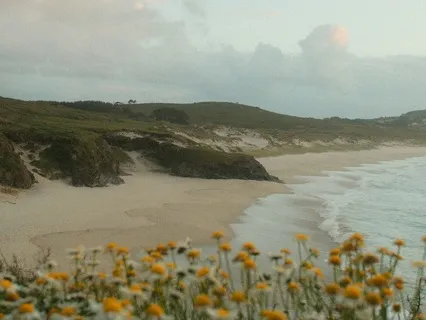 432 Hertz Beach Sound Bath