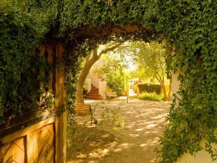 432 Hz + 528 Hz + 1111 Hz Tuning Forks Open All Doors