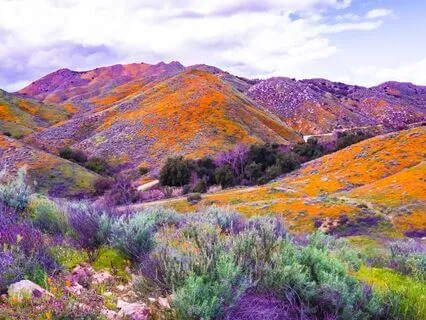 432 Hz + 528 Hz + 741 Hz Tuning Fork Miracles & Blessings