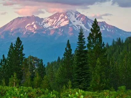 432 Hz + 528 Hz + 963 Hz Tuning Forks For Blessings (Alpha)