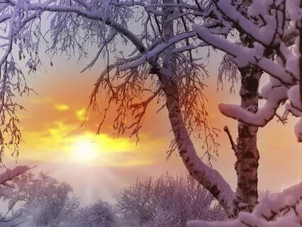 432 Hz + 528 Hz + 963 Hz Tuning Forks For Blessings (Theta)