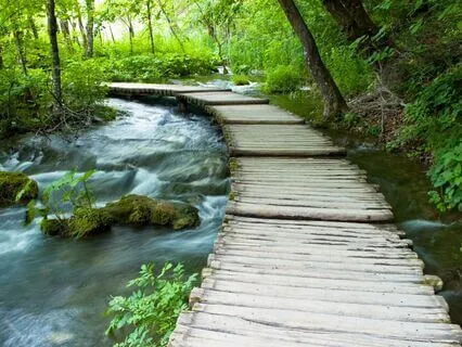 432 Hz + 528 Hz + 963 Hz Tuning Forks To Attract Blessings