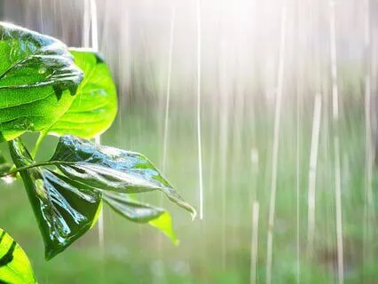 432 Hz + 777 Hz Tuning Forks Attract Abundance (Rainstick)