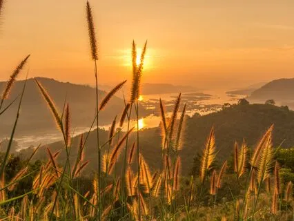 432 Hz + 888 Hz Tuning Fork Prosperity Activation (Alpha)