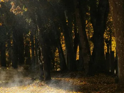 432 Hz Achieve Total Relaxation & Balance Your Soul