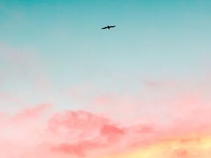 432 Hz Affirmations For Wealth, Success & Emotional Balance