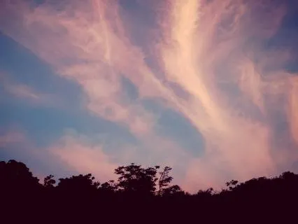 432 Hz Angelic Healing Sleep Music (8 Hours)