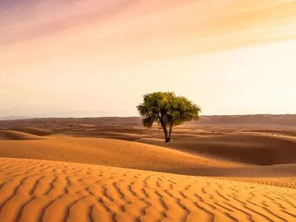 432 Hz Anxiety Eliminator