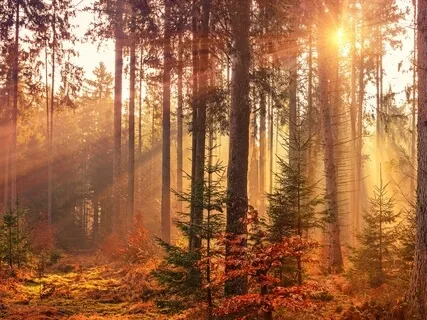 432 HZ Deep Healing ( Stress Reduction ) + Binaural Alpha Waves 