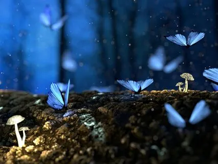 432 Hz Deep Lucid Dreaming Sleep Music