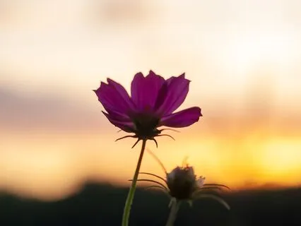 432 Hz Nice & Relaxed