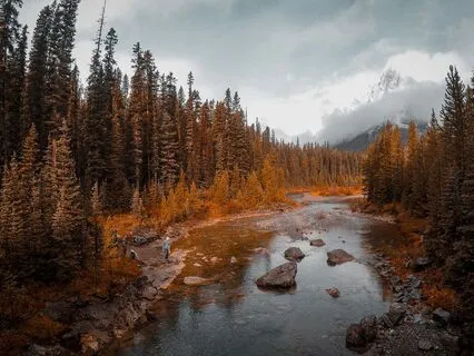 432 Hz Gentle Fall Meditation, Release Tension