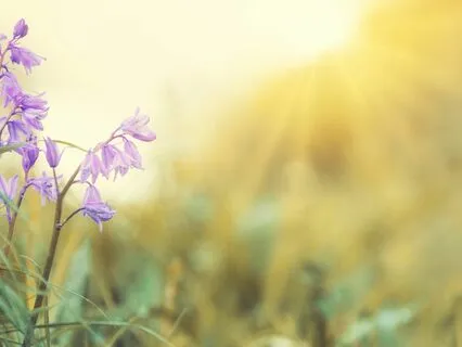 432 Hz Music For Deep Healing, Positive Energy, and Sleep