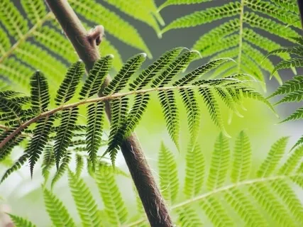 432 Hz - Raise Vibration & Cleanse Negative Energy | Theta Binaural Beat | Soul Connection Music