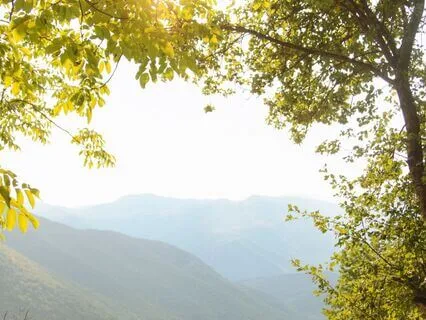 432 Hz Subliminals For Wealth, Stability & Abundance