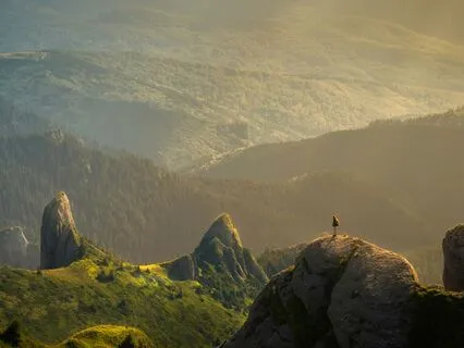 432 Hz Summer Stillness