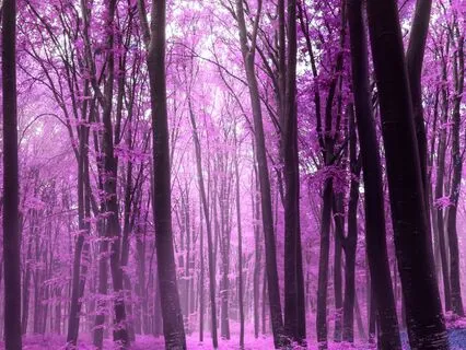 432 Hz The Beauty Of Life