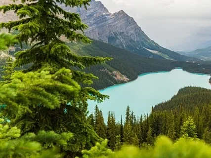 432Hz The Deepest Healing - Let Go Of All Negative Energy