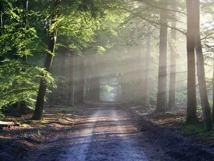 432 Hz Walk About Music 88 BPM