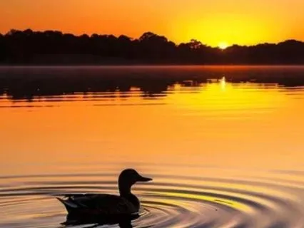 432 Hz Water Stream For Deep Relaxation