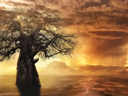 432H & 44Hz Manifest Miracles