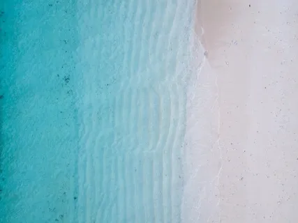 432Hz Anxiety Cleanse