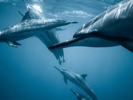 432Hz Attract Prosperity & Love