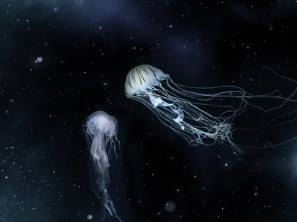 432Hz Cleanse Negative Energy & Destroy Unconscious Blockages