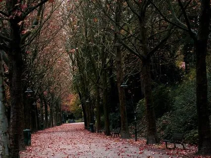 432Hz Cognition Enhancer: Theta Waves (Full Spectrum)