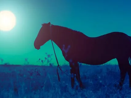 432 Hz Deep Healing Music For Stress Relief & Sleep