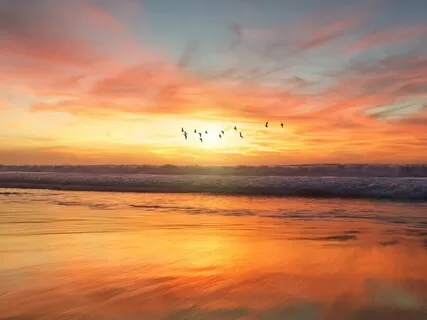 432Hz Deep Healing (Relaxed) + Binaural Alpha Beats