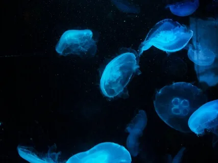 432Hz Deep Introspection (Short)