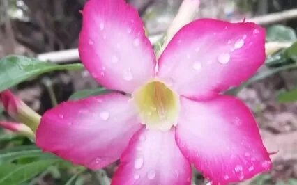 432hz Etno-Ambient. Relaxing Huehuetl Drum, Ocarina & Guitar