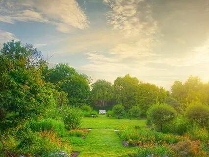 432Hz Flute & Healing Nature Sounds For Deep Relaxation