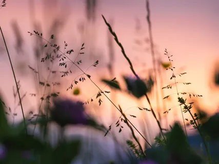 432Hz Full Body Regeneration & Raise Your Vibration