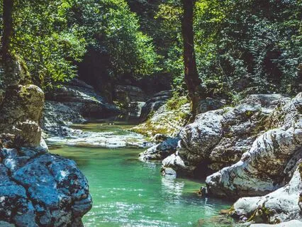 432hz Handpan and Harp on the River Bank