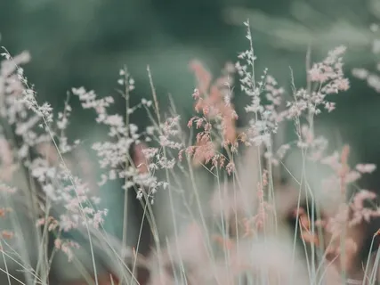 432Hz - Healing Mystical Music