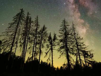 432Hz Healing Sounds | Alpha Binaural & Isochronic | Rain 30