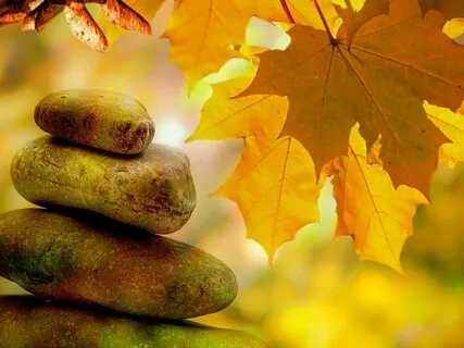 432Hz Miracle Healing Music