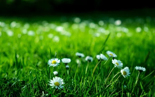 432Hz Music - Remove The Negative Energy In & Around You