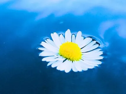 432 Hz Om Resonance - Calm And Restore The Vagus Nerve