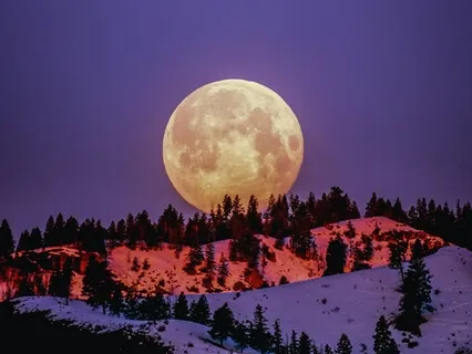 432Hz + 1111Hz Sleep & Receive Endless Positivity