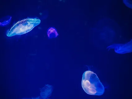 432Hz + 888Hz Healing Sleep Music And Self-Healing Miracles