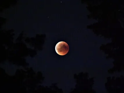 432Hz Pure & Calm Sleep Music