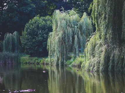 432Hz Reiki Music For Relaxation With Chime Every 3 Minutes