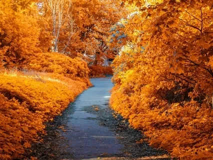 432Hz Relaxing Music - Let Go Of Mental Blockages - DNA Heal