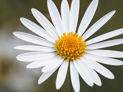 432Hz Waves Of Light: Luminous Frequencies For Energy Work