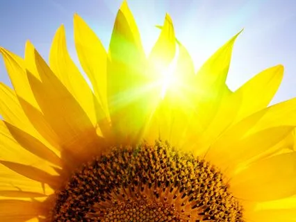 44 Daily Morning Happiness Affirmations