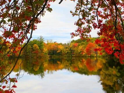 444 Hz Health And Wellness Frequency | Morning Sun