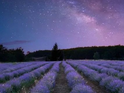 444 Hz Sleep Music | Stop Overthinking